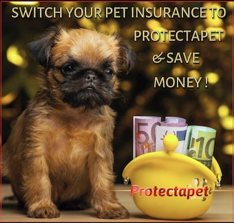 Switch your Pet insurance to Protectapet and save money now